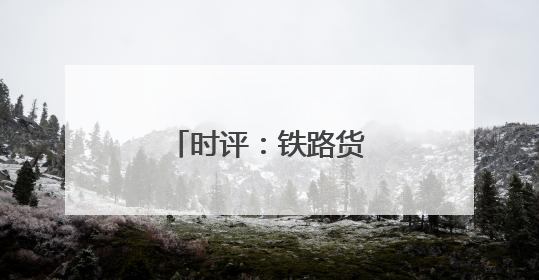 时评：铁路货运数据里的“中国经济脉动”
