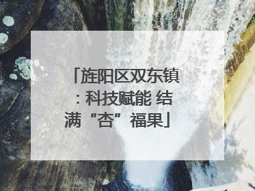 旌阳区双东镇：科技赋能 结满“杏”福果