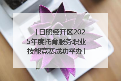 日照经开区2025年度托育服务职业技能竞赛成功举办
