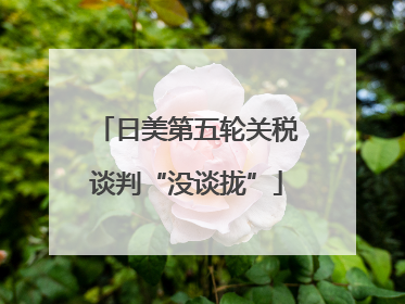 日美第五轮关税谈判“没谈拢”