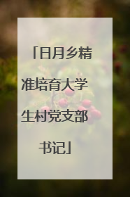 日月乡精准培育大学生村党支部书记