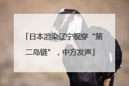日本渲染辽宁舰穿“第二岛链”，中方发声