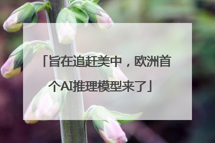 旨在追赶美中，欧洲首个AI推理模型来了