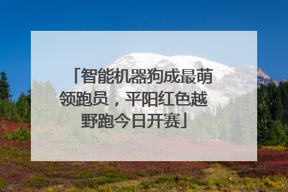 智能机器狗成最萌领跑员，平阳红色越野跑今日开赛