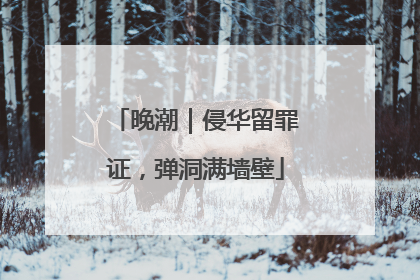晚潮｜侵华留罪证，弹洞满墙壁