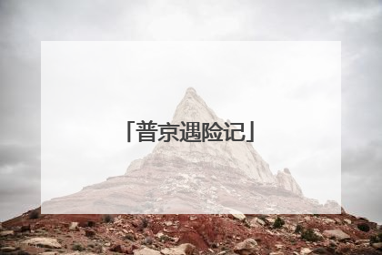 普京遇险记