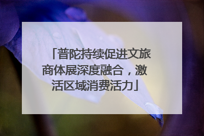 普陀持续促进文旅商体展深度融合，激活区域消费活力