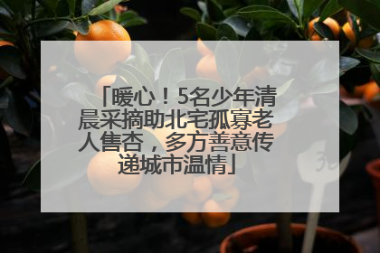 暖心！5名少年清晨采摘助北宅孤寡老人售杏，多方善意传递城市温情