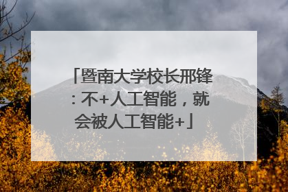 暨南大学校长邢锋：不+人工智能，就会被人工智能+