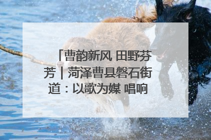 曹韵新风 田野芬芳｜菏泽曹县磐石街道：以歌为媒 唱响乡土“新歌声”