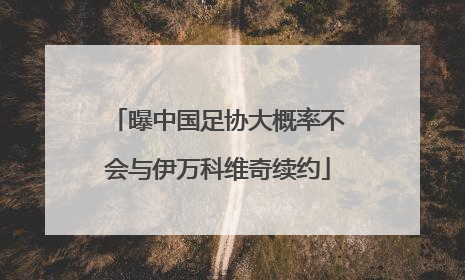 曝中国足协大概率不会与伊万科维奇续约