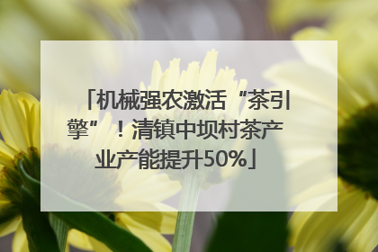 机械强农激活“茶引擎”！清镇中坝村茶产业产能提升50%