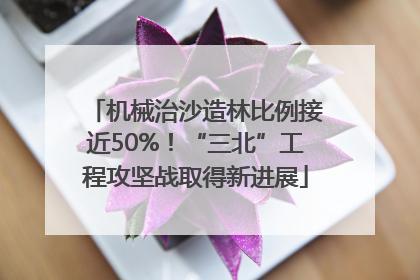 机械治沙造林比例接近50%！“三北”工程攻坚战取得新进展
