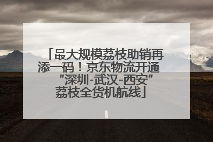 最大规模荔枝助销再添一码！京东物流开通“深圳-武汉-西安” 荔枝全货机航线