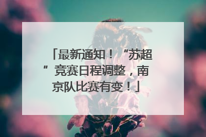 最新通知！“苏超”竞赛日程调整，南京队比赛有变！