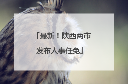 最新！陕西两市发布人事任免