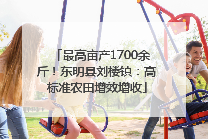 最高亩产1700余斤！东明县刘楼镇：高标准农田增效增收