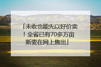 未收也能先以好价卖！全省已有70多万亩新麦在网上售出
