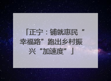 正宁：铺就惠民“幸福路”跑出乡村振兴“加速度”
