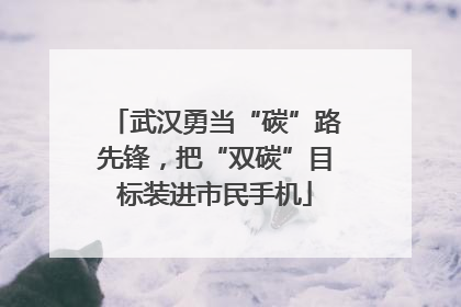 武汉勇当“碳”路先锋，把“双碳”目标装进市民手机