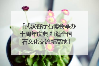 武汉客厅石博会举办十周年庆典 打造全国石文化交流新高地