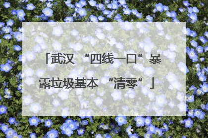 武汉 “四线一口”暴露垃圾基本 “清零”