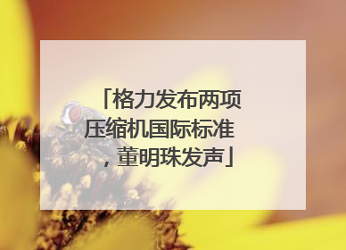 格力发布两项压缩机国际标准，董明珠发声