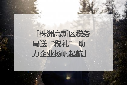 株洲高新区税务局送“税礼” 助力企业扬帆起航