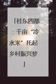 桂东四都：千亩“冷水米”托起乡村振兴梦