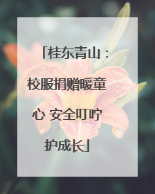桂东青山：校服捐赠暖童心 安全叮咛护成长