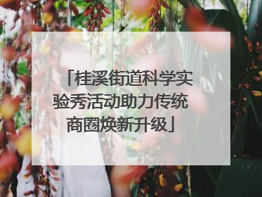 桂溪街道科学实验秀活动助力传统商圈焕新升级
