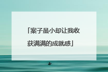 案子虽小却让我收获满满的成就感