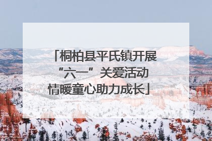 桐柏县平氏镇开展“六一”关爱活动 情暖童心助力成长