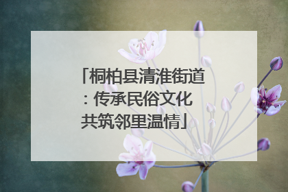 桐柏县清淮街道：传承民俗文化 共筑邻里温情