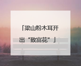 梁山粉木耳开出“致富花”