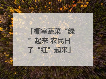 棚室蔬菜“绿”起来 农民日子“红”起来