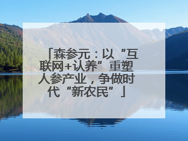 森参元：以“互联网+认养”重塑人参产业，争做时代“新农民”