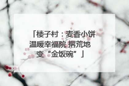 楼子村：麦香小饼温暖幸福院 撂荒地变“金饭碗”