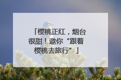 樱桃正红，烟台很甜！邀你“跟着樱桃去旅行”