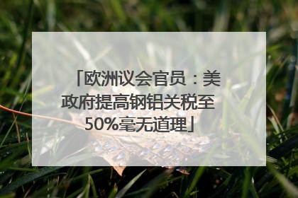 欧洲议会官员：美政府提高钢铝关税至50%毫无道理