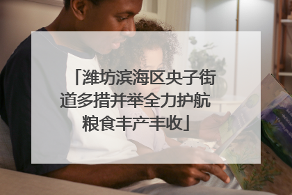 潍坊滨海区央子街道多措并举全力护航粮食丰产丰收