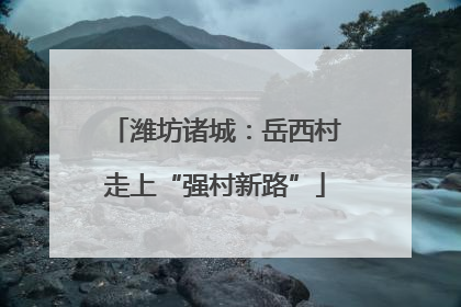 潍坊诸城：岳西村走上“强村新路”