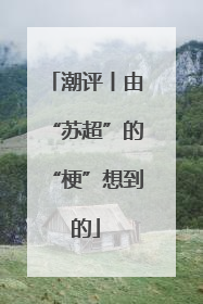 潮评丨由“苏超”的“梗”想到的
