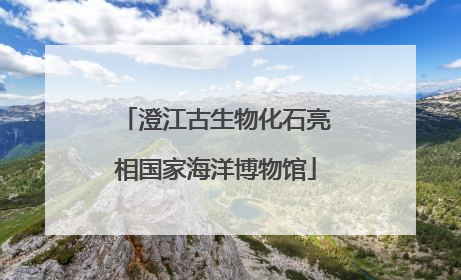 澄江古生物化石亮相国家海洋博物馆