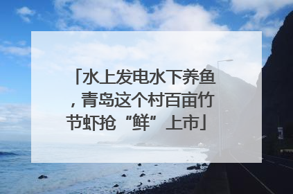 水上发电水下养鱼，青岛这个村百亩竹节虾抢“鲜”上市