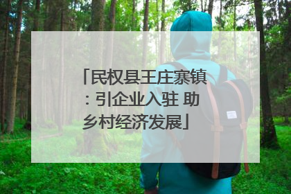 民权县王庄寨镇：引企业入驻 助乡村经济发展