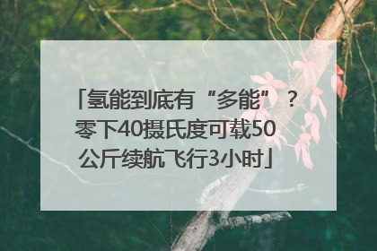 氢能到底有“多能”？零下40摄氏度可载50公斤续航飞行3小时
