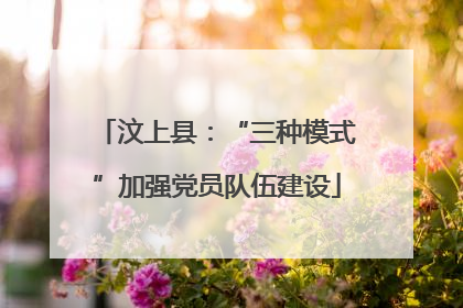 汶上县：“三种模式”加强党员队伍建设