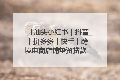 汕头小红书｜抖音｜拼多多｜快手｜跨境电商店铺垫资贷款企业-漫商易