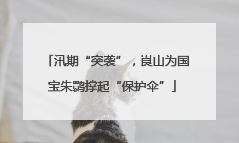汛期“突袭”，崀山为国宝朱鹮撑起“保护伞”